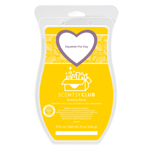 Squeeze the Day Scentsy Brick