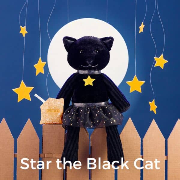 Star the Black Cat