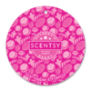 Star Apple & Freesia Scentsy Scent Circle