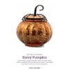 Starry Pumpkin Scentsy Warmer | October 2023
