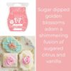 Sugar Blossom Scentsy Scent Circle
