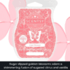 Sugar Blossom Scentsy Bar