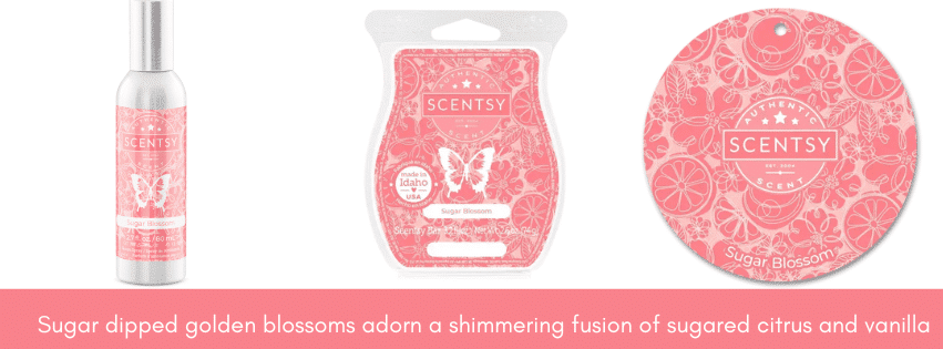 Sugar Blossom Scentsy Scent Circle
