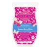 Summer Berry Melon Scentsy Brick