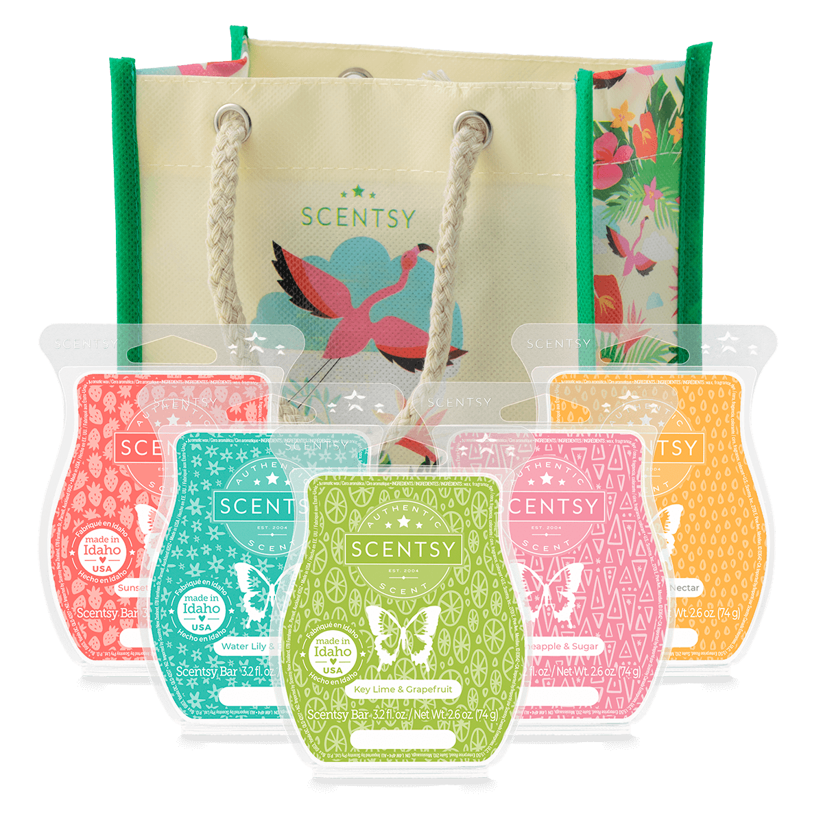 Scentsy 2024 Summer Wax Collection Bundle