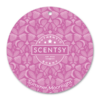 Summer Moonlight Scentsy Scent Circle
