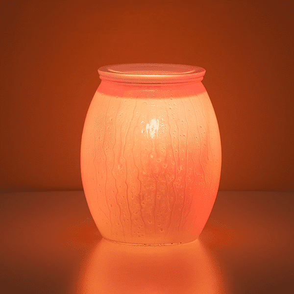 Summer Rain Scentsy Warmer 5