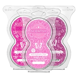Summer in the Air Scentsy Pod Bundle