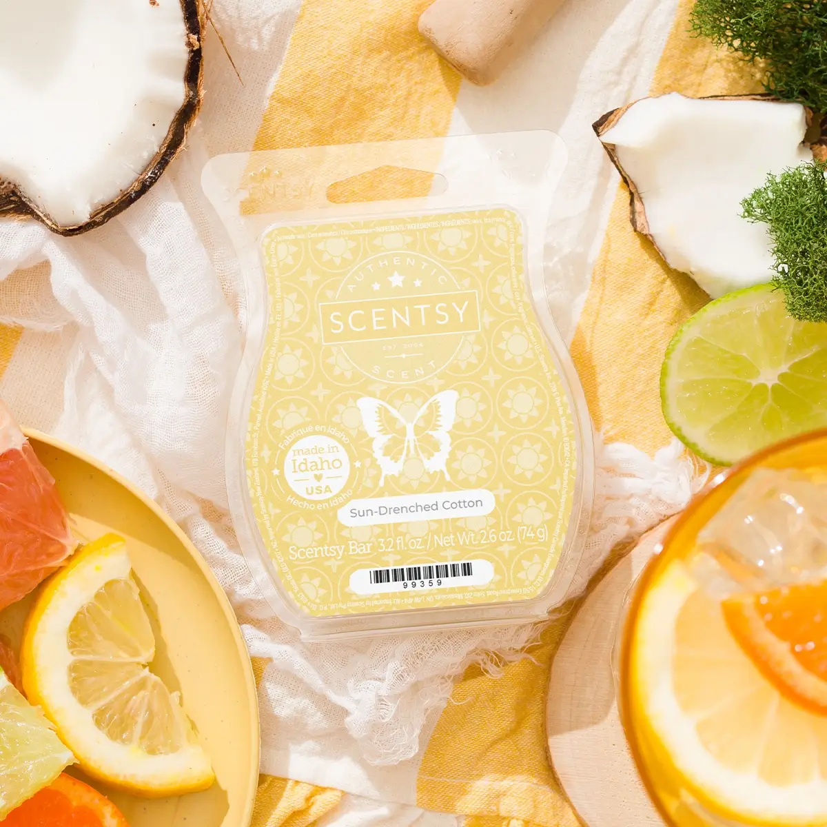 Scentsy 2025 Summer Destinations Collection | Shop 6/1
