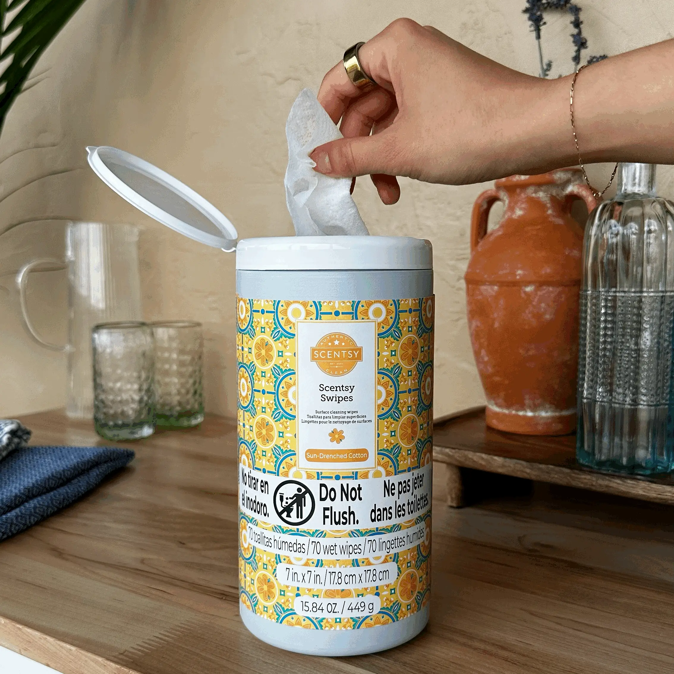 Scentsy 2025 Summer Destinations Collection | Shop 6/1