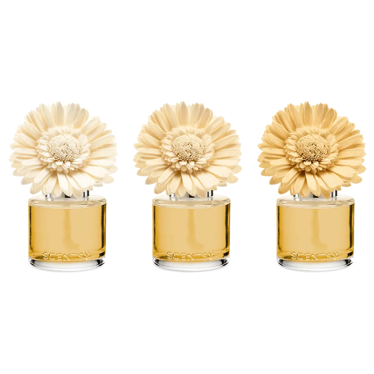 Sun-Drenched Cotton Scentsy Fragrance Flower