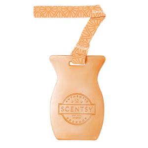 Sunkissed Citrus Scentsy Car Bar