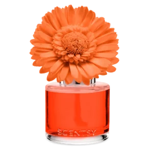 Sunset Cocktail Scentsy Fragrance Flower