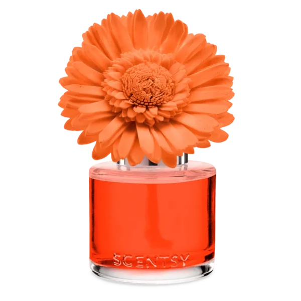 Sunset Cocktail Scentsy Fragrance Flower