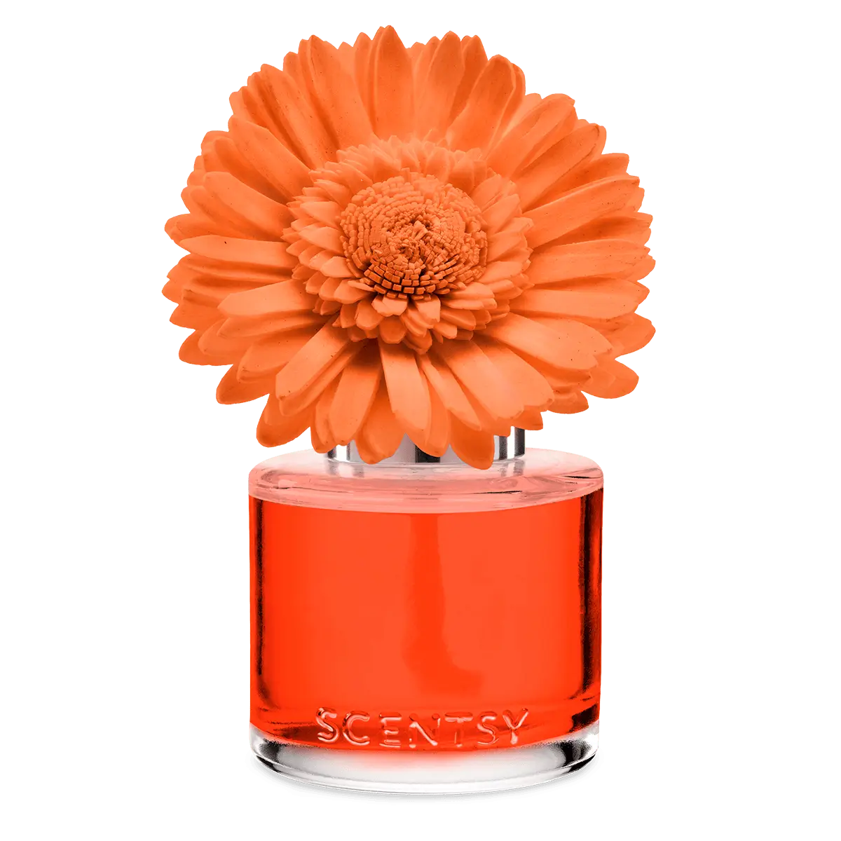 Sunset Cocktail Scentsy Fragrance Flower