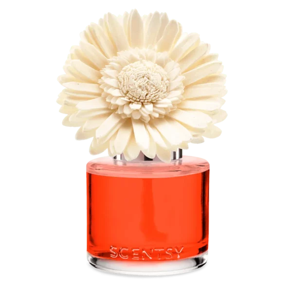 Sunset Cocktail Scentsy Fragrance Flower