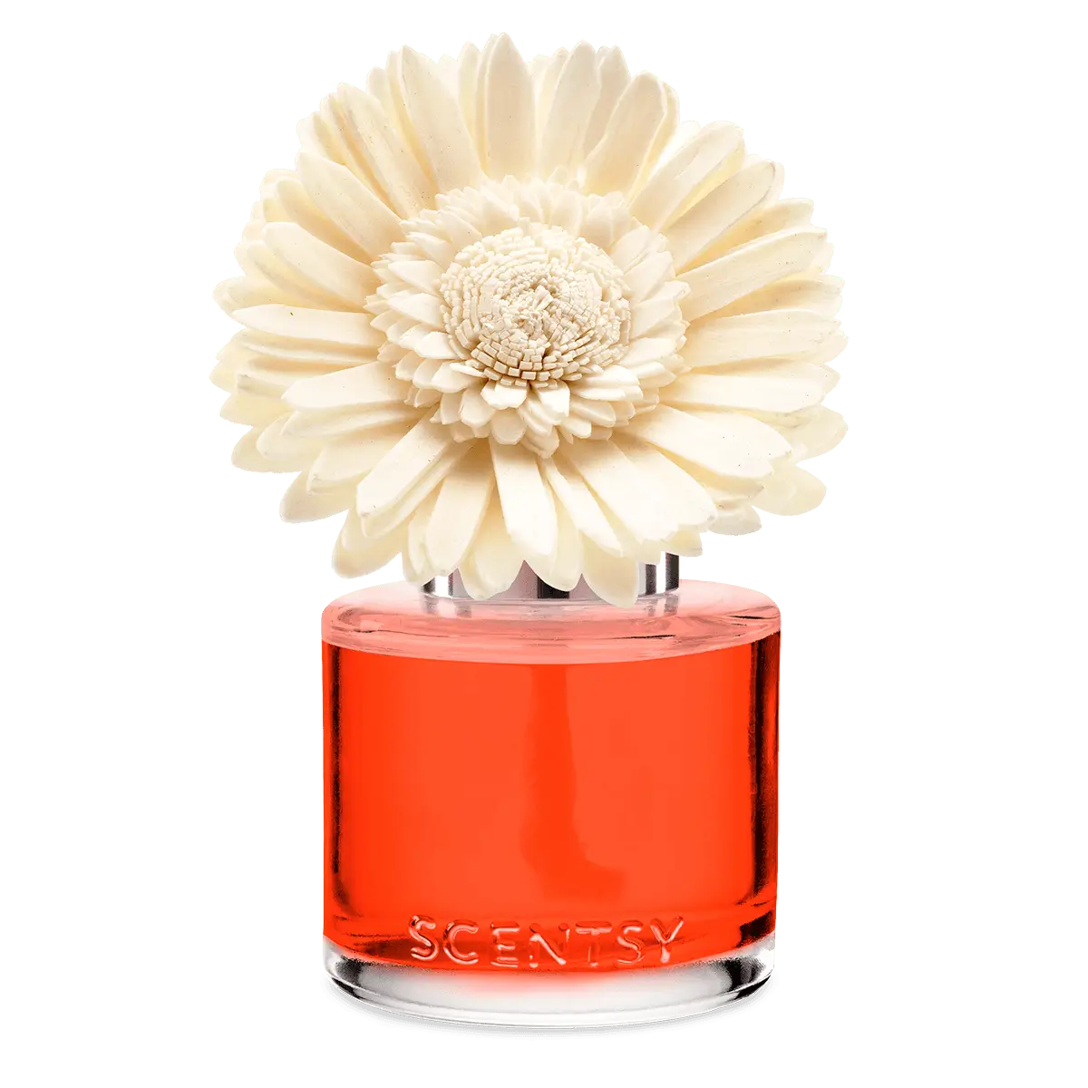 Sunset Cocktail Scentsy Fragrance Flower