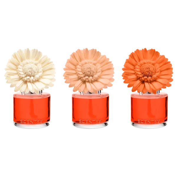 Sunset Cocktail Scentsy Fragrance Flower