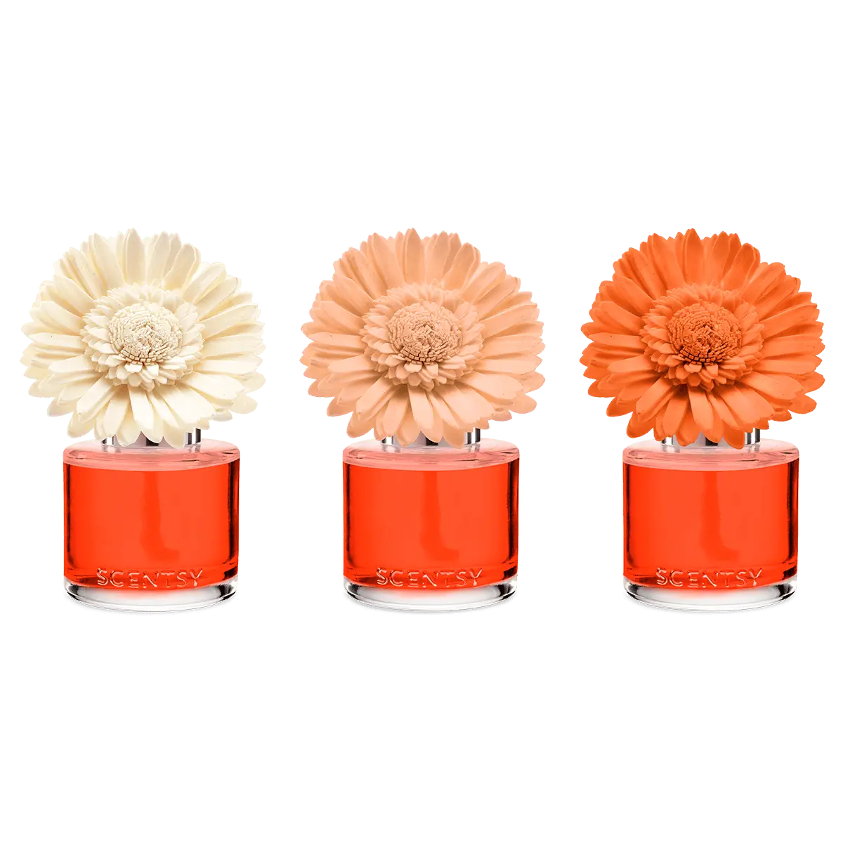 Sunset Cocktail Scentsy Fragrance Flower