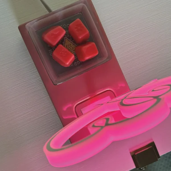 Sweet on You Hearts Scentsy Warmer | January 2025