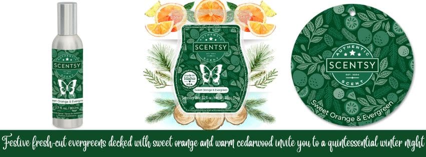Sweet Orange & Evergreen Scentsy Bar
