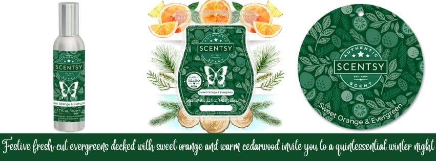 Sweet Orange Evergreen Scentsy 1