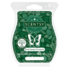 Sweet Orange & Evergreen Scentsy Bar