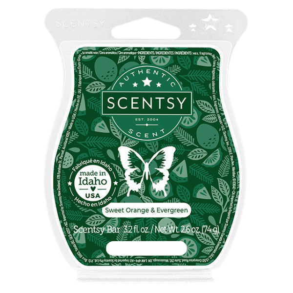 Sweet Orange Evergreen Scentsy Bar