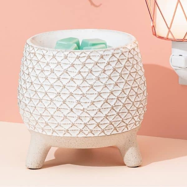 TAKE A STAND SCENTSY WARMER