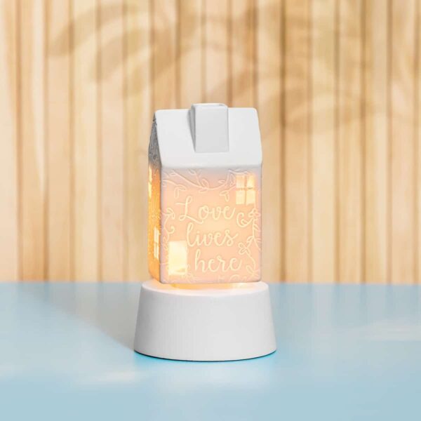 Take me Home Mini Scentsy Warmer 6