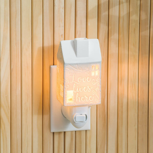 Take me home Mini Scentsy Warmer 1