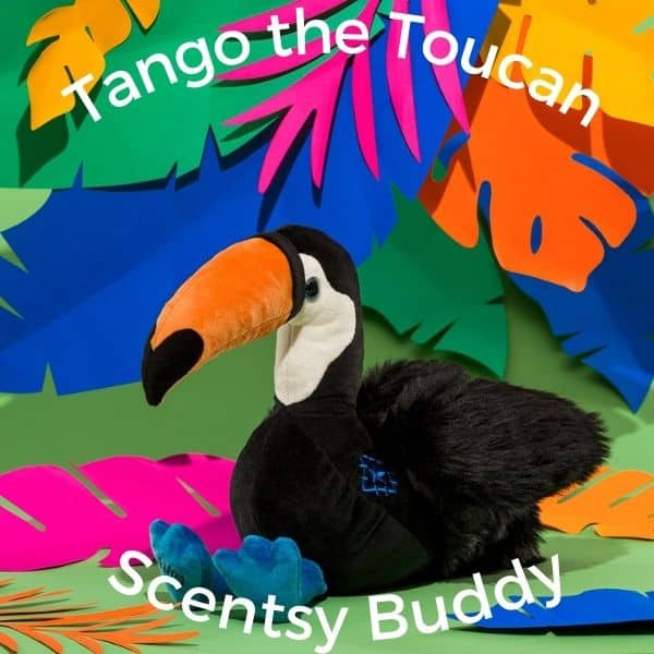 Tango the Toucan