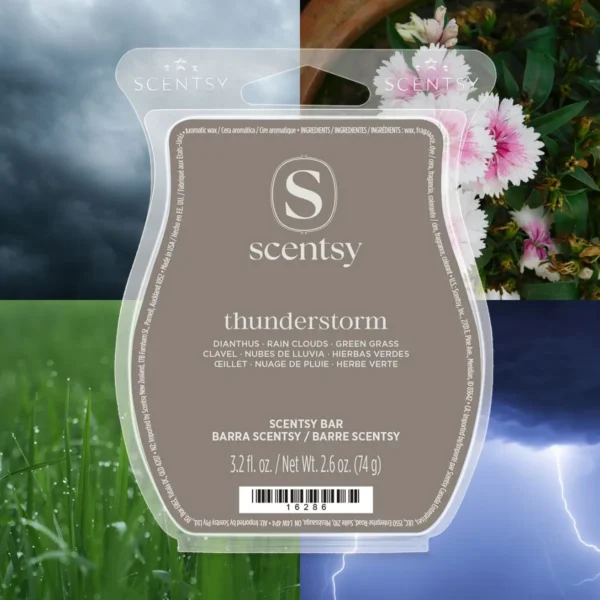 Thuderstorm Thunderstorm Scentsy 6 Bar Bundle