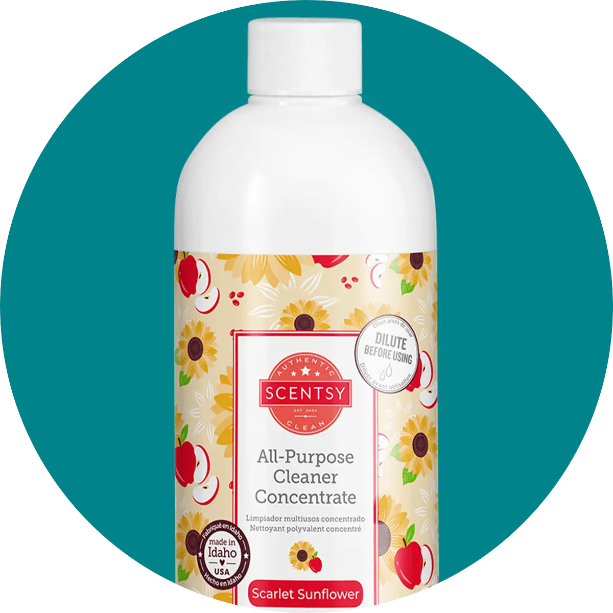 Post-Christmas Bliss: Refreshing Your Home with Scentsy Cleaning Products