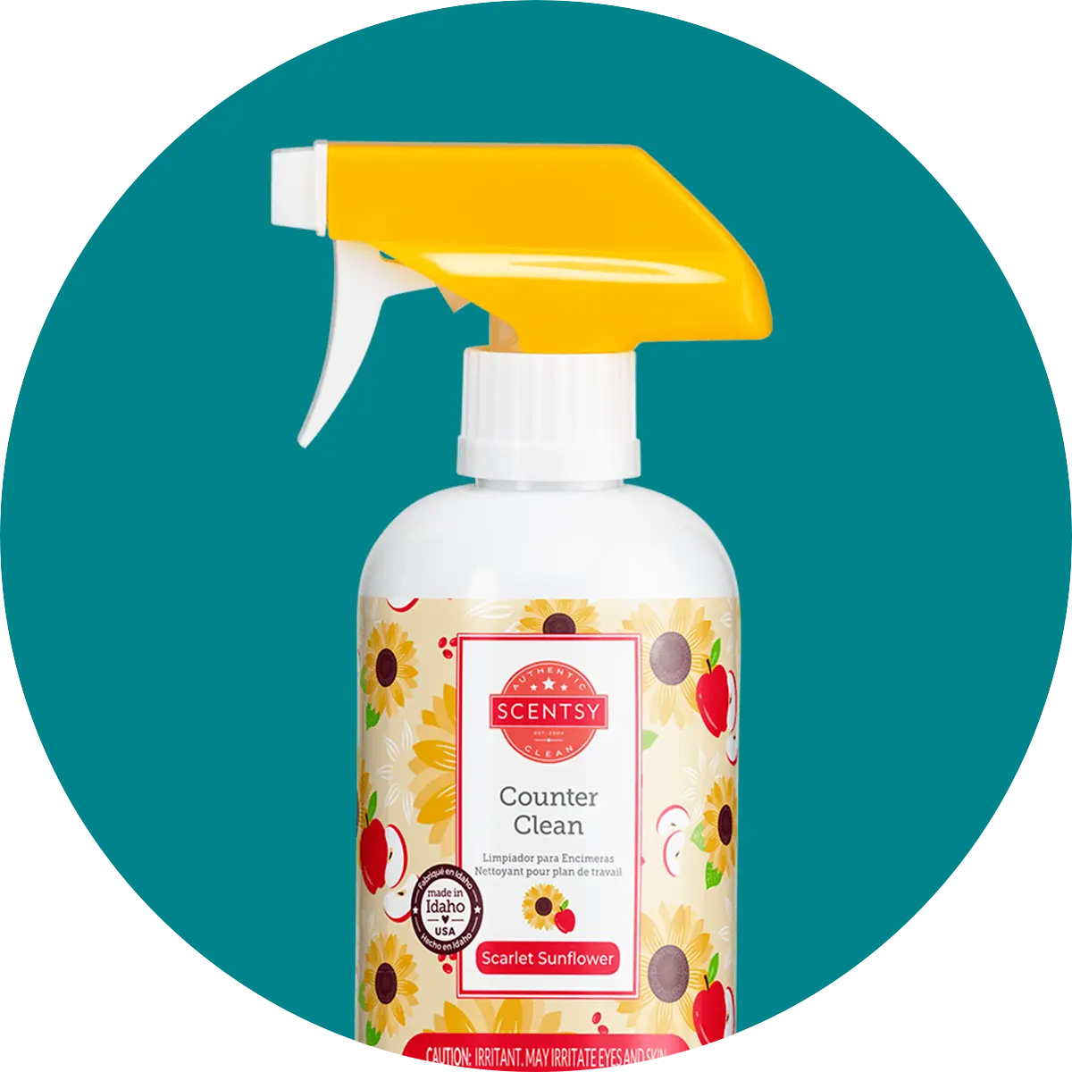 Post-Christmas Bliss: Refreshing Your Home with Scentsy Cleaning Products