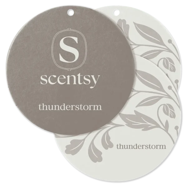Thunderstorm Scentsy Scent Circle 3 Pack