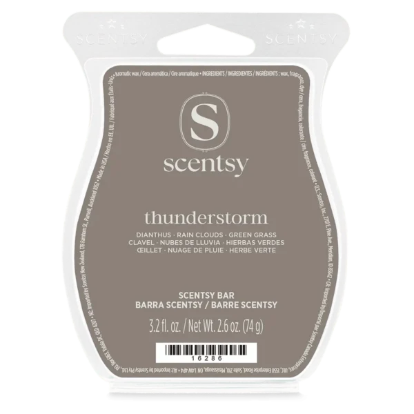 Thunderstorm Scentsy Bar (1) Thunderstorm Scentsy 6 Bar Bundle