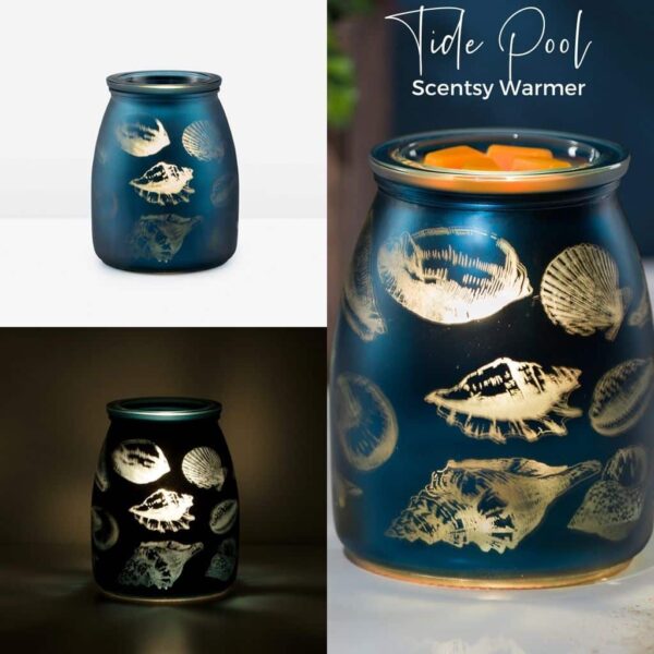 Tide Pool Scentsy Warmer 1