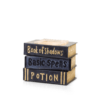 Under My Spell (Books) Scentsy Warmer