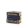 Under My Spell (Books) Scentsy Warmer