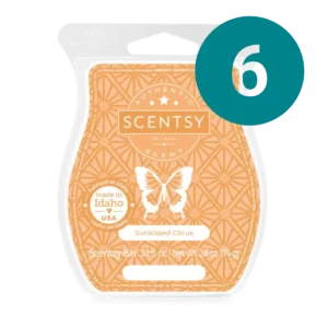 Sunkissed Citrus Scentsy 6 Bar Wax Bundle