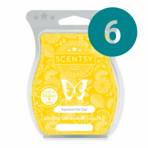 Squeeze the Day 6 Scentsy Bar Wax Bundle