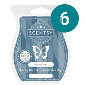 Mystery Man Scentsy 6 Bar Bundle