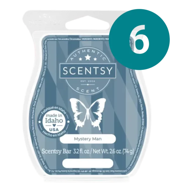 Mystery Man Scentsy 6 Bar Bundle