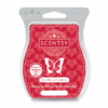 VERY MERRY CRANBERRY SCENTSY BAR