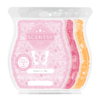 Scentsy Valentine's Day 2023 Wax Bar 3 Pack