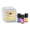 Valentine's Day 2023 Scentsy Oils