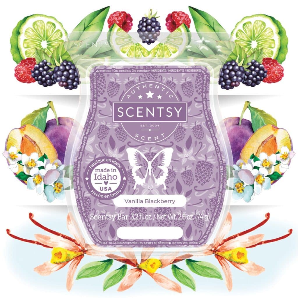 Vanilla Blackberry Scentsy Fragrance