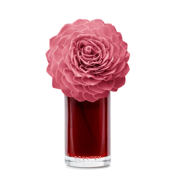 Vanilla Rose Large Dahila Mom'S Day1 Vanilla Rose Large Dahlia Darling Scentsy Fragrance Flower