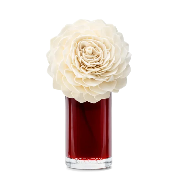 Vanilla Rose Large Dahila Mom'S Day2 Vanilla Rose Large Dahlia Darling Scentsy Fragrance Flower